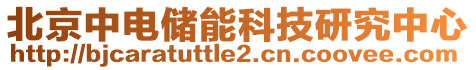 北京中電儲(chǔ)能科技研究中心