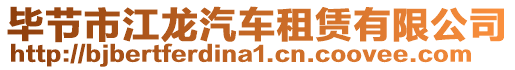 畢節(jié)市江龍汽車租賃有限公司