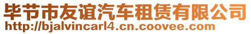 畢節(jié)市友誼汽車租賃有限公司