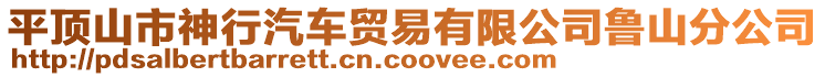 平頂山市神行汽車貿(mào)易有限公司魯山分公司