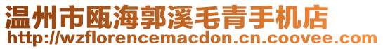 溫州市甌海郭溪毛青手機店