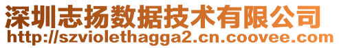 深圳志揚(yáng)數(shù)據(jù)技術(shù)有限公司