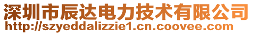 深圳市辰達(dá)電力技術(shù)有限公司