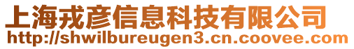 上海戎彥信息科技有限公司