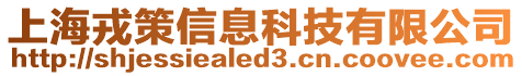 上海戎策信息科技有限公司