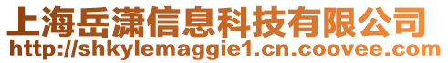 上海岳瀟信息科技有限公司