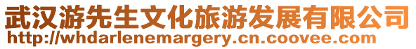 武漢游先生文化旅游發(fā)展有限公司
