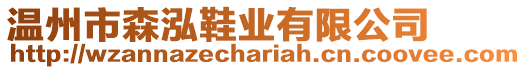 溫州市森泓鞋業(yè)有限公司