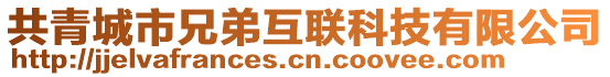 共青城市兄弟互聯(lián)科技有限公司