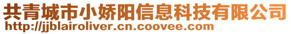 共青城市小嬌陽信息科技有限公司