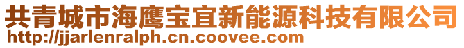 共青城市海鷹寶宜新能源科技有限公司