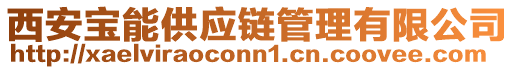 西安寶能供應(yīng)鏈管理有限公司