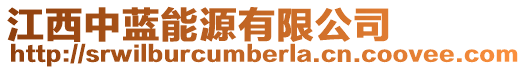 江西中藍能源有限公司