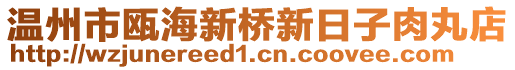 溫州市甌海新橋新日子肉丸店
