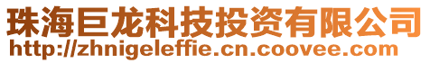 珠海巨龍科技投資有限公司