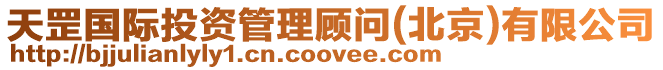 天罡國際投資管理顧問(北京)有限公司