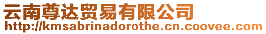 云南尊達貿易有限公司