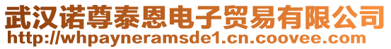 武漢諾尊泰恩電子貿易有限公司