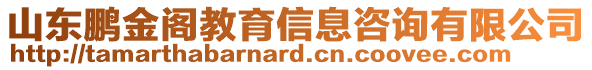 山東鵬金閣教育信息咨詢有限公司