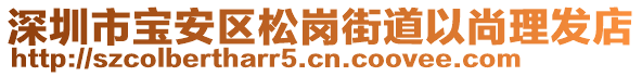 深圳市寶安區(qū)松崗街道以尚理發(fā)店