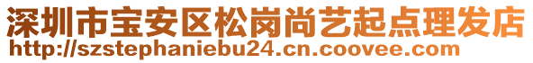 深圳市寶安區(qū)松崗尚藝起點(diǎn)理發(fā)店