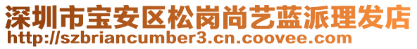 深圳市寶安區(qū)松崗尚藝藍(lán)派理發(fā)店