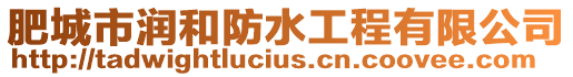 肥城市潤和防水工程有限公司