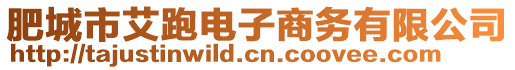 肥城市艾跑電子商務有限公司