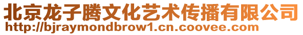 北京龍子騰文化藝術傳播有限公司