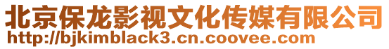 北京保龍影視文化傳媒有限公司
