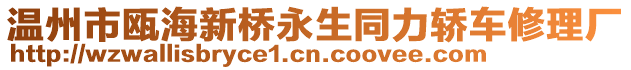 溫州市甌海新橋永生同力轎車修理廠