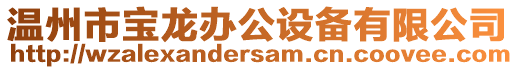 溫州市寶龍辦公設(shè)備有限公司