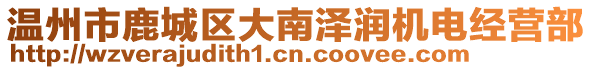 溫州市鹿城區大南澤潤機電經營部