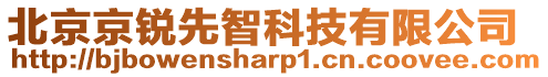 北京京銳先智科技有限公司