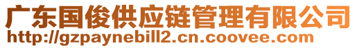 廣東國俊供應鏈管理有限公司