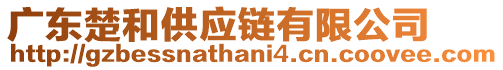 廣東楚和供應鏈有限公司