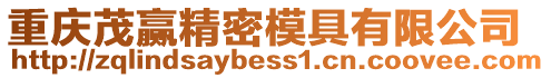 重慶茂贏精密模具有限公司