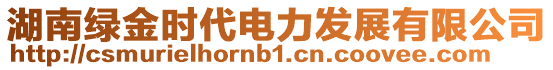 湖南綠金時代電力發(fā)展有限公司