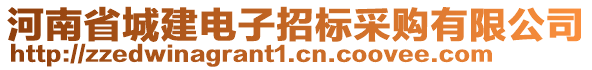 河南省城建電子招標采購有限公司