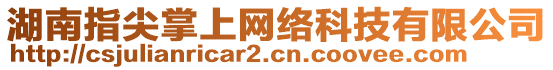 湖南指尖掌上網絡科技有限公司