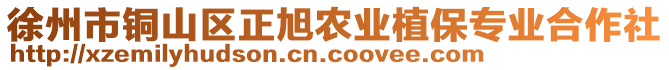 徐州市銅山區正旭農業植保專業合作社