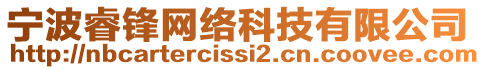 寧波睿鋒網絡科技有限公司