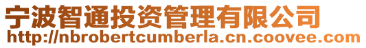 寧波智通投資管理有限公司