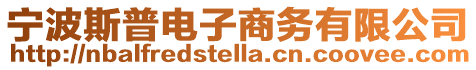 寧波斯普電子商務有限公司