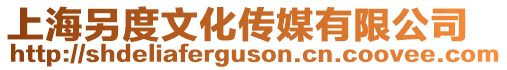 上海另度文化傳媒有限公司