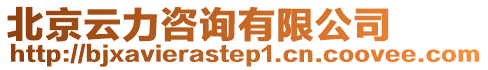 北京云力咨詢有限公司