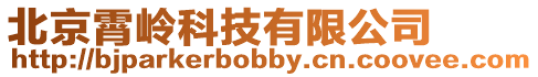 北京霄嶺科技有限公司