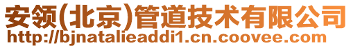 安領(北京)管道技術有限公司