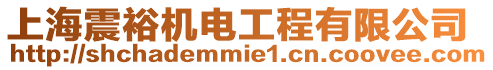 上海震裕機(jī)電工程有限公司