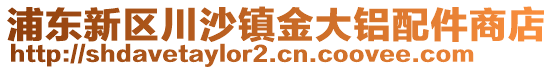 浦東新區川沙鎮金大鋁配件商店